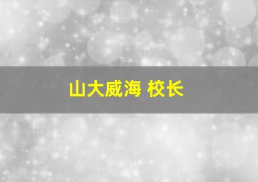 山大威海 校长